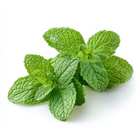 Peppermint oil